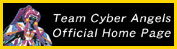 Team Cyber Angels Official Home Page